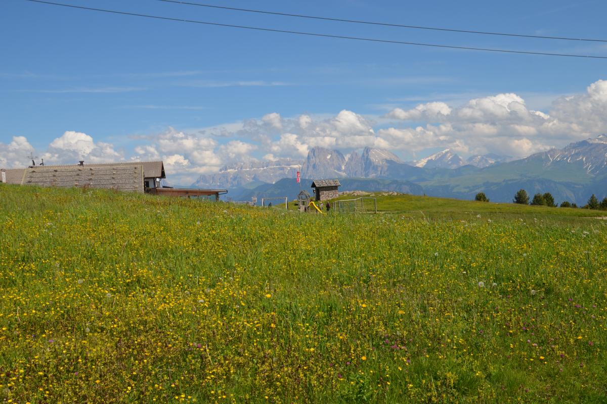 Latschenoelbrennerei und Platzer Alm 06.07.2021